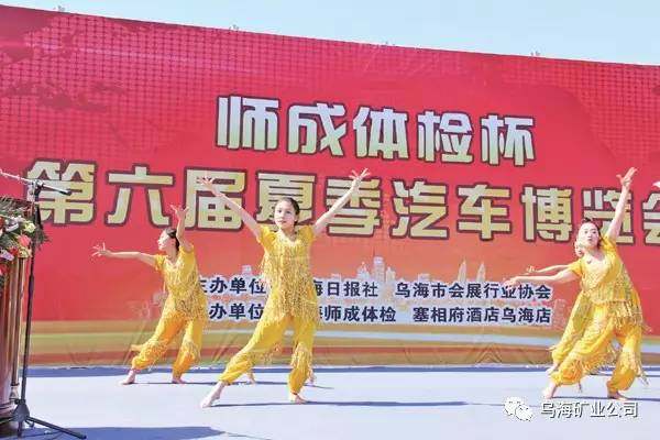 乌海第六届夏季汽车博览会