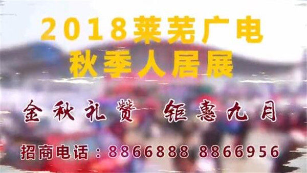 莱芜车展