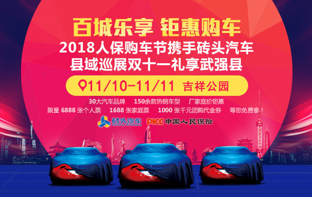 武强车展