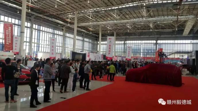 赣州双11百城车展