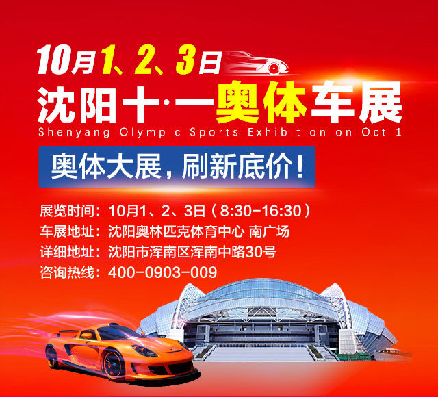 沈阳十一奥体车展