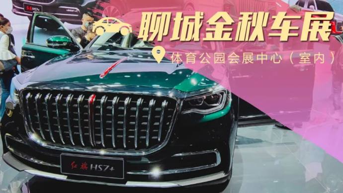 聊城金秋车展