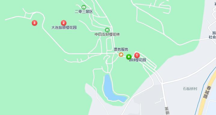 大连樱花季车展
