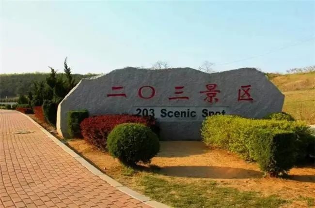 大连樱花季车展