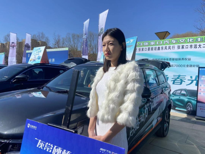 张家口春季车展