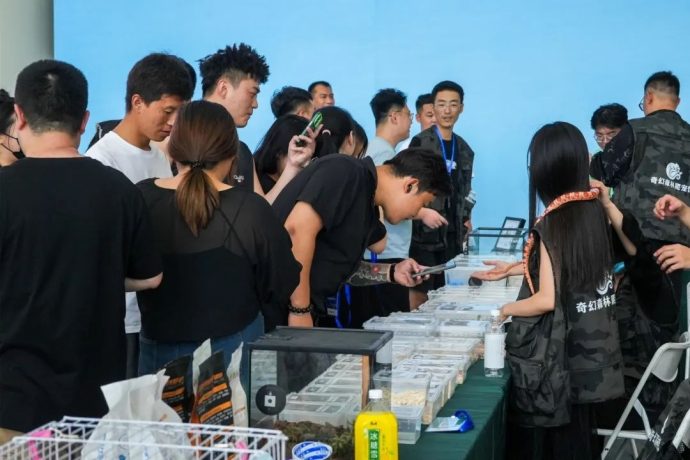 烟台国际车展