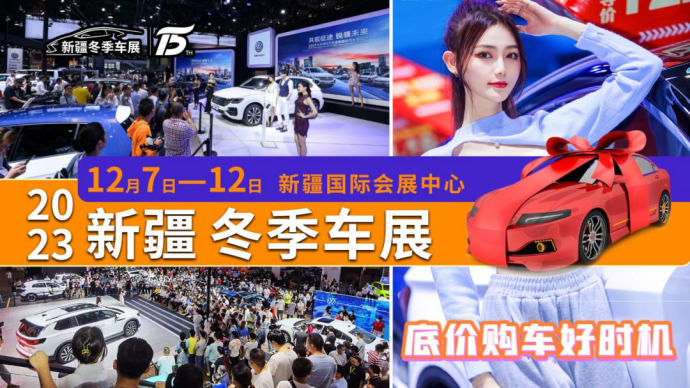 新疆冬季车展