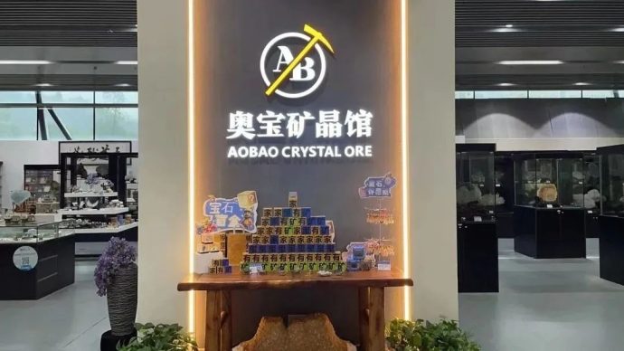 郴州市新能源汽车进行政事业单位推介会