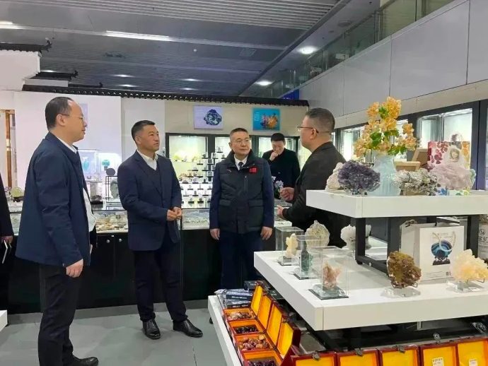 郴州市新能源汽车进行政事业单位推介会