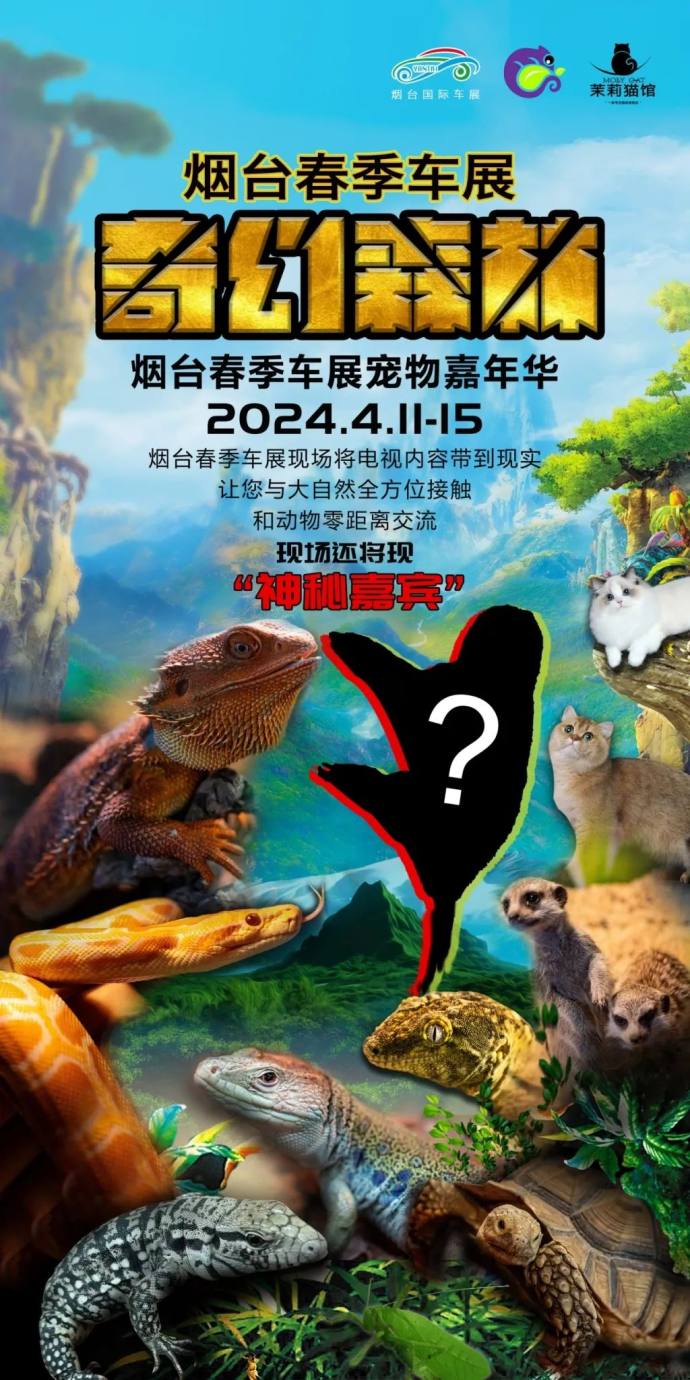 烟台国际车展 