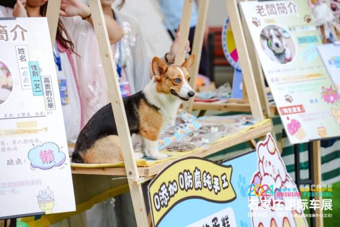 石家庄中秋国际车展