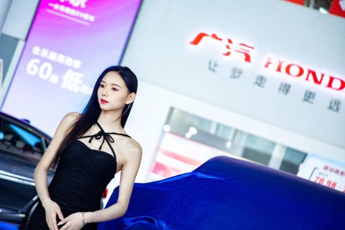 郴州秋季车展