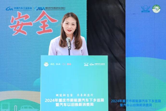 重庆奉节新能源汽车下乡