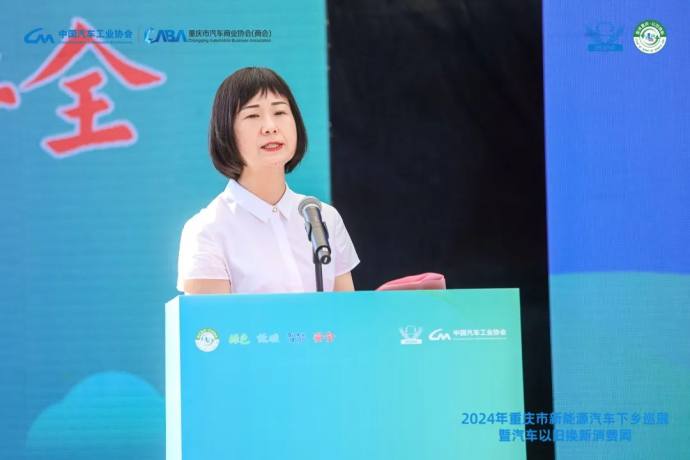 重庆奉节新能源汽车下乡