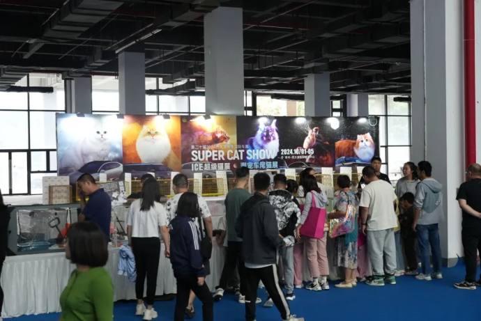 西太湖秋季国际车展