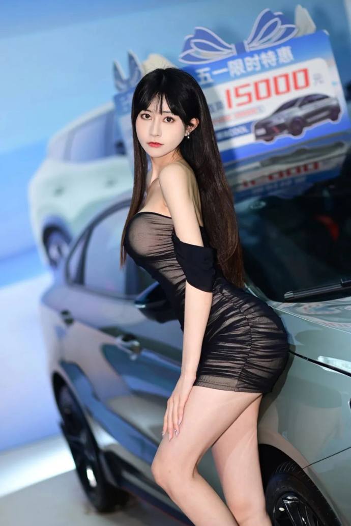 华南国际车展