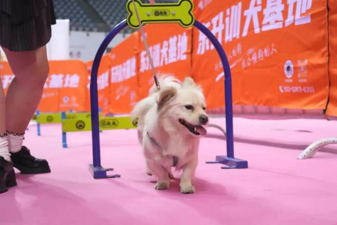 无锡十一车展