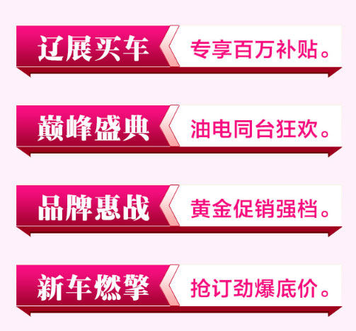 沈阳双11惠车展