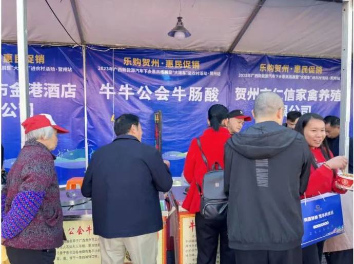贺州新能源汽车下乡