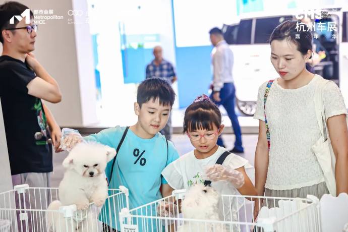CMS杭州车展