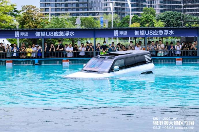 粤港澳大湾区车展