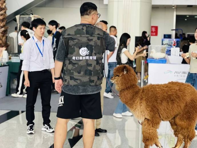 烟台国际车展