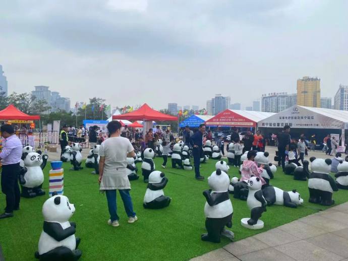 广西车交会