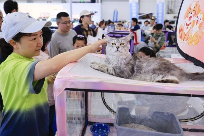 贵阳国际车展