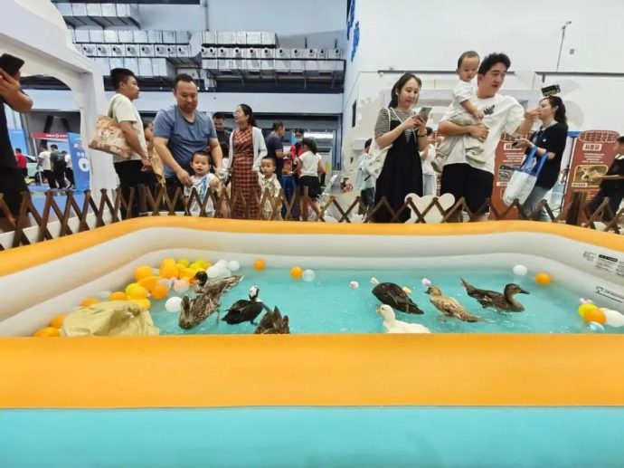 海南新能源智能汽车展