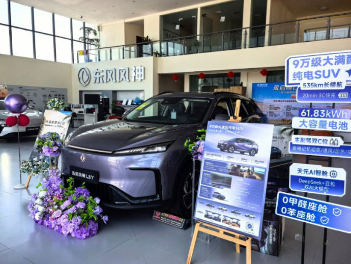 周口十一车展
